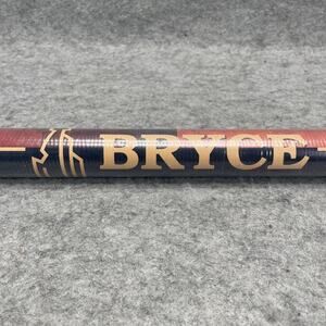 Vintage Jeff Gnass~Bryce Canon 1989 Poster #9739 SEALED 18 x 24 Japan USA NEW